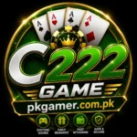 C222 Game