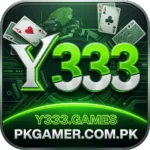 Y333 Game
