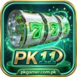 PK11 Game Re Earning